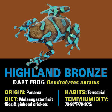 GRAB N GO KIT: Dart Frog - HIGHLAND BRONZE