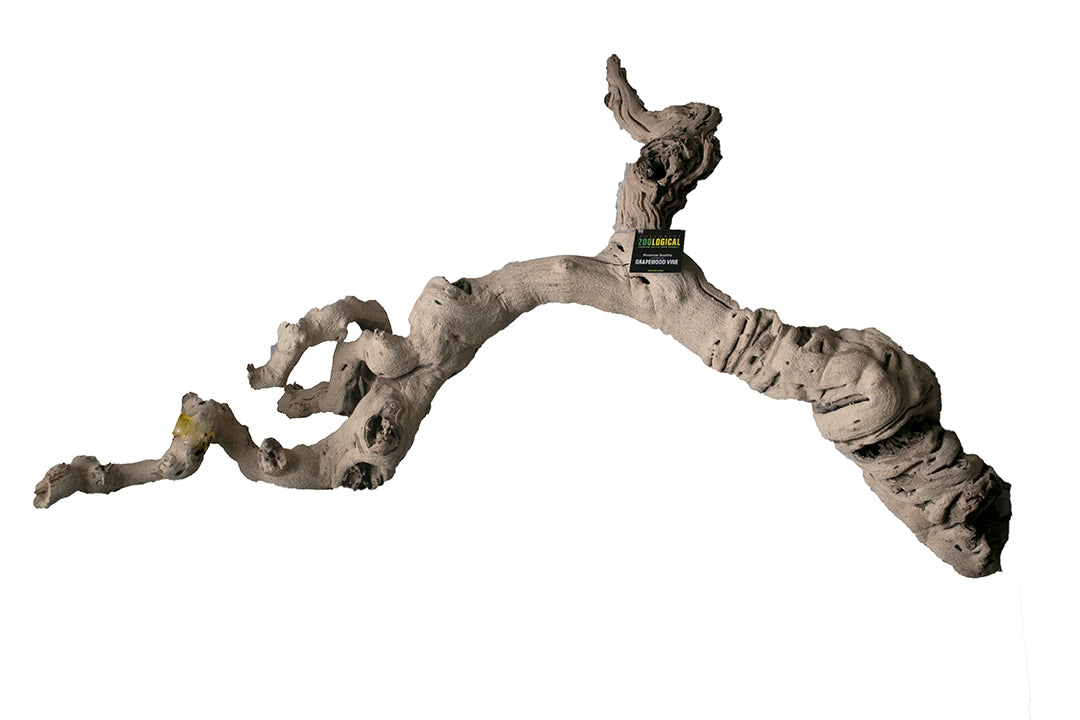 Grapewood Vine