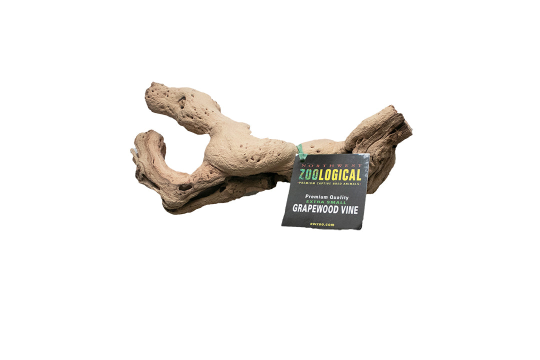 Grapewood Vine