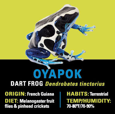 GRAB N GO KIT: Dart Frog - OYAPOK
