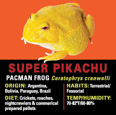 GNG Kit: Pacman Frog - SUPER PIKACHU