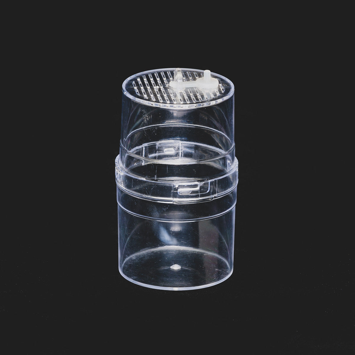 Arboreal Spiderling Container - SMALL